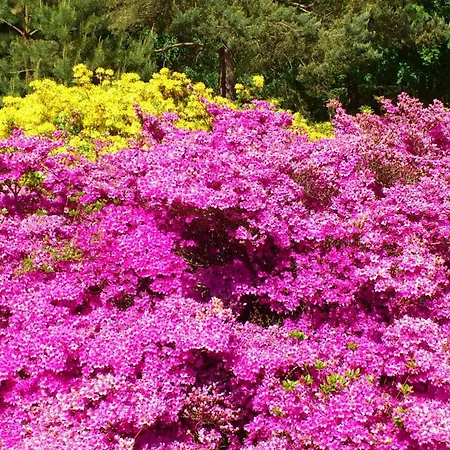 Uhlenhuus - Schoeller Gm 69765 Apartman *