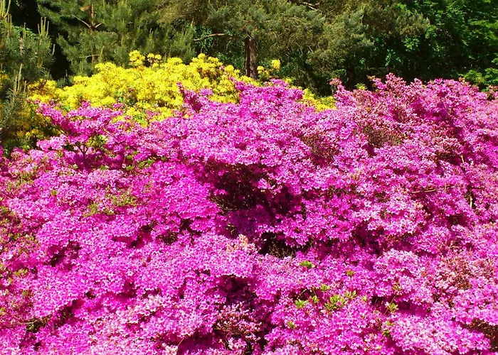 Uhlenhuus - Schoeller Gm 69765 Lejlighed *